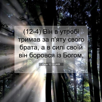 Picture 07 - Осія 12:3 UKR - (12-4) Він в утробі тримав за - Bible Verse Picture