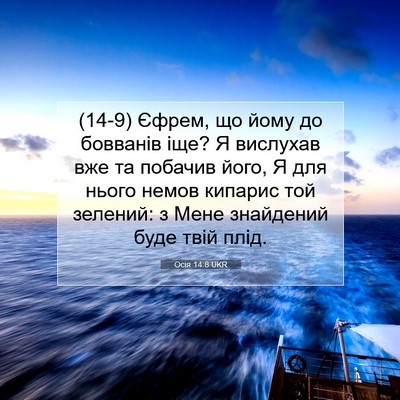 Picture 07 - Осія 14:8 UKR - (14-9) Єфрем, що йому до - Bible Verse Picture