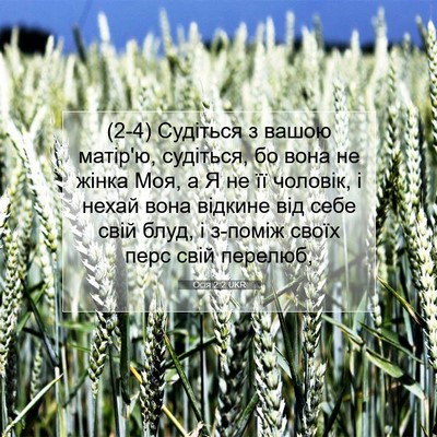 Picture 07 - Осія 2:2 UKR - (2-4) Судіться з вашою - Bible Verse Picture