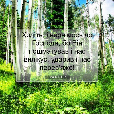Picture 07 - Осія 6:1 UKR - Ходіть, і вернімось до - Bible Verse Picture