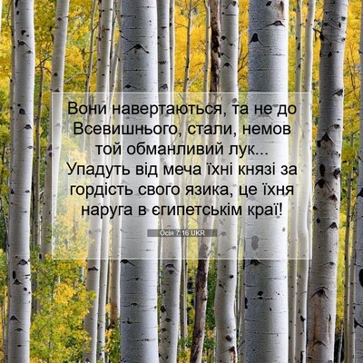 Picture 07 - Осія 7:16 UKR - Вони навертаються, та не до - Bible Verse Picture