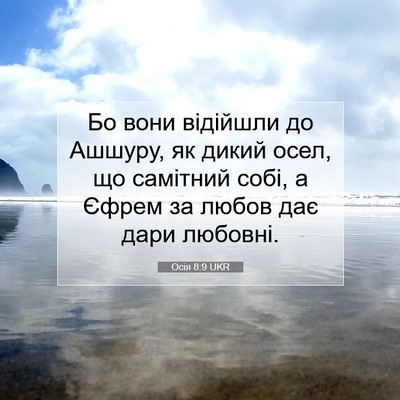 Picture 07 - Осія 8:9 UKR - Бо вони відійшли до Ашшуру, - Bible Verse Picture