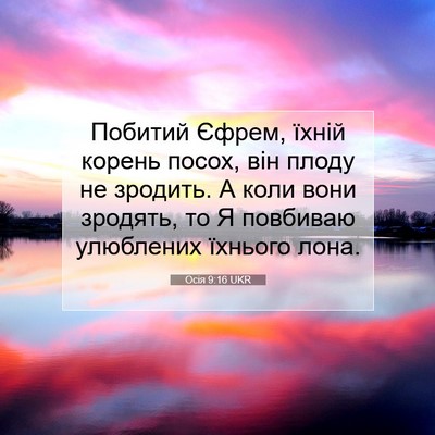 Picture 07 - Осія 9:16 UKR - Побитий Єфрем, їхній - Bible Verse Picture