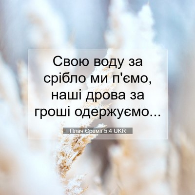 Picture 07 - Плач Єремії 5:4 UKR - Свою воду за срібло ми - Bible Verse Picture
