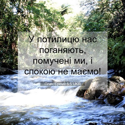 Picture 07 - Плач Єремії 5:5 UKR - У потилицю нас поганяють, - Bible Verse Picture