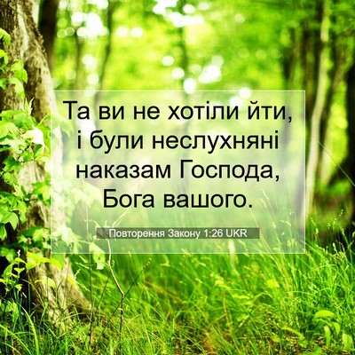 Picture 07 - Повторення Закону 1:26 UKR - Та ви не хотіли йти, і були - Bible Verse Picture