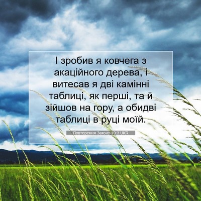 Picture 07 - Повторення Закону 10:3 UKR - І зробив я ковчега з - Bible Verse Picture
