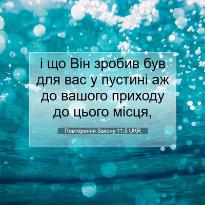Picture 07 - Повторення Закону 11:5 UKR - і що Він зробив був для вас - Bible Verse Picture
