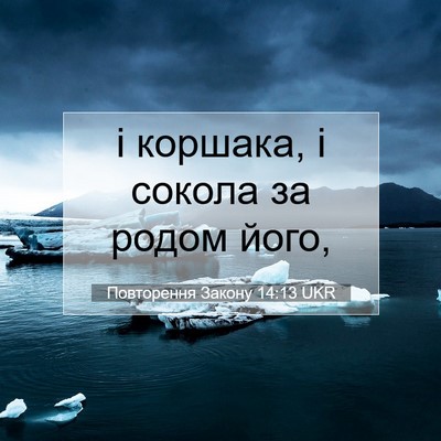 Picture 07 - Повторення Закону 14:13 UKR - і коршака, і сокола за - Bible Verse Picture