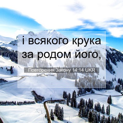 Picture 07 - Повторення Закону 14:14 UKR - і всякого крука за родом - Bible Verse Picture