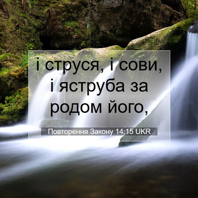 Picture 07 - Повторення Закону 14:15 UKR - і струся, і сови, і яструба - Bible Verse Picture