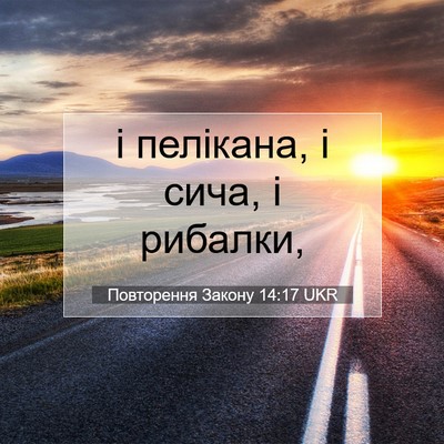 Picture 07 - Повторення Закону 14:17 UKR - і пелікана, і сича, і - Bible Verse Picture