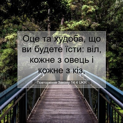 Picture 07 - Повторення Закону 14:4 UKR - Оце та худоба, що ви будете - Bible Verse Picture