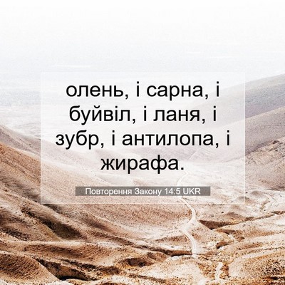 Picture 07 - Повторення Закону 14:5 UKR - олень, і сарна, і буйвіл, і - Bible Verse Picture