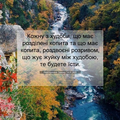 Picture 07 - Повторення Закону 14:6 UKR - Кожну з худоби, що має - Bible Verse Picture