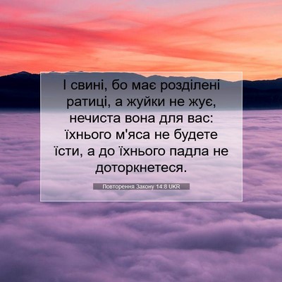 Picture 07 - Повторення Закону 14:8 UKR - І свині, бо має розділені - Bible Verse Picture