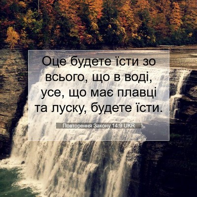 Picture 07 - Повторення Закону 14:9 UKR - Оце будете їсти зо всього, - Bible Verse Picture