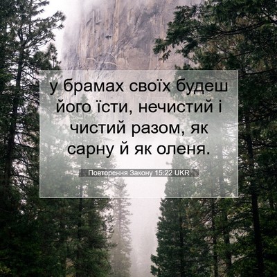 Picture 07 - Повторення Закону 15:22 UKR - у брамах своїх будеш його - Bible Verse Picture