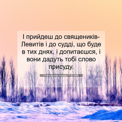 Picture 07 - Повторення Закону 17:9 UKR - І прийдеш до - Bible Verse Picture