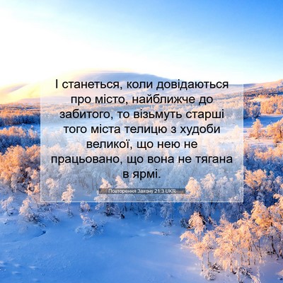 Picture 07 - Повторення Закону 21:3 UKR - І станеться, коли - Bible Verse Picture