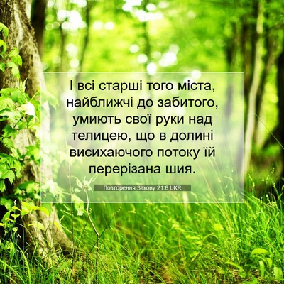 Picture 07 - Повторення Закону 21:6 UKR - І всі старші того міста, - Bible Verse Picture