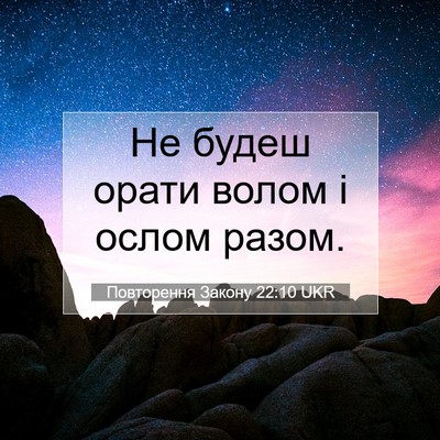 Picture 07 - Повторення Закону 22:10 UKR - Не будеш орати волом і - Bible Verse Picture