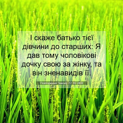 Picture 07 - Повторення Закону 22:16 UKR - І скаже батько тієї - Bible Verse Picture