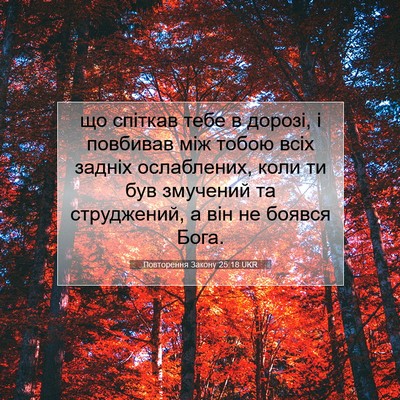 Picture 07 - Повторення Закону 25:18 UKR - що спіткав тебе в дорозі, і - Bible Verse Picture