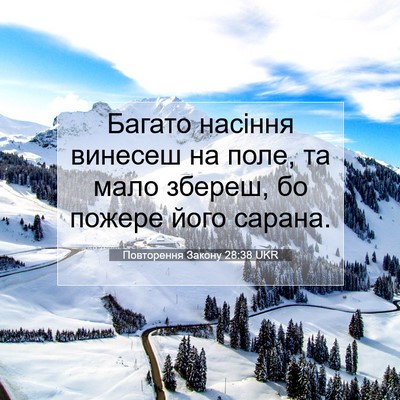 Picture 07 - Повторення Закону 28:38 UKR - Багато насіння винесеш на - Bible Verse Picture