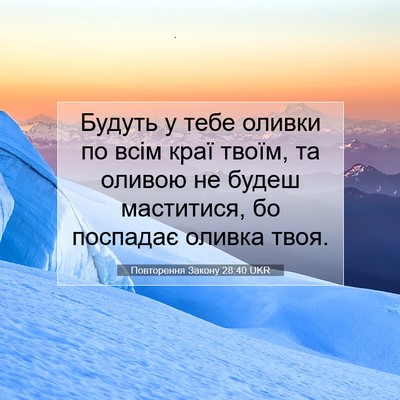 Picture 07 - Повторення Закону 28:40 UKR - Будуть у тебе оливки по - Bible Verse Picture
