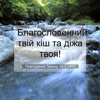 Picture 07 - Повторення Закону 28:5 UKR - Благословенний твій кіш та - Bible Verse Picture