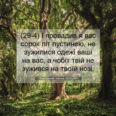 Picture 07 - Повторення Закону 29:5 UKR - (29-4) І провадив я вас сорок - Bible Verse Picture