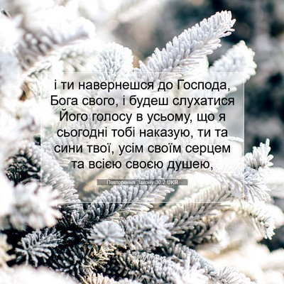 Picture 07 - Повторення Закону 30:2 UKR - і ти навернешся до Господа, - Bible Verse Picture