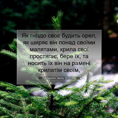 Picture 07 - Повторення Закону 32:11 UKR - Як гніздо своє будить орел, - Bible Verse Picture