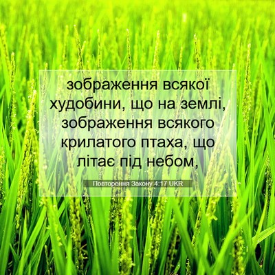 Picture 07 - Повторення Закону 4:17 UKR - зображення всякої - Bible Verse Picture