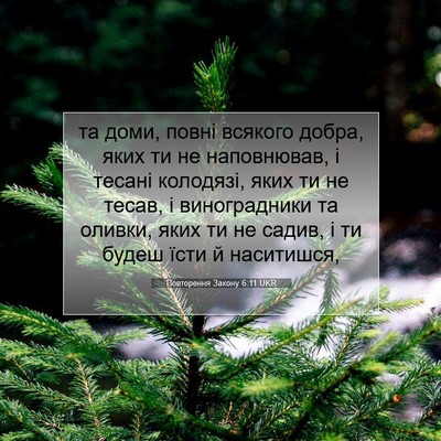 Picture 07 - Повторення Закону 6:11 UKR - та доми, повні всякого - Bible Verse Picture