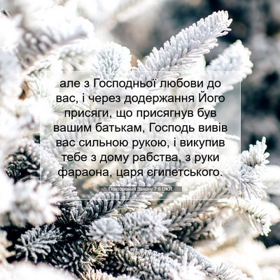 Picture 07 - Повторення Закону 7:8 UKR - але з Господньої любови до - Bible Verse Picture