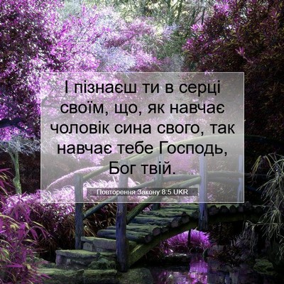 Picture 07 - Повторення Закону 8:5 UKR - І пізнаєш ти в серці своїм, - Bible Verse Picture