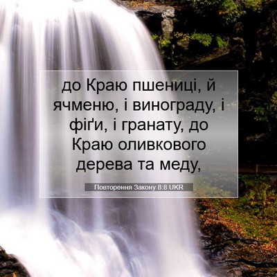 Picture 07 - Повторення Закону 8:8 UKR - до Краю пшениці, й ячменю, і - Bible Verse Picture