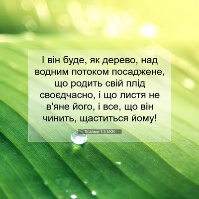 Picture 07 - Псалми 1:3 UKR - І він буде, як дерево, над - Bible Verse Picture
