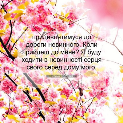 Picture 07 - Псалми 101:2 UKR - придивлятимуся до дороги - Bible Verse Picture