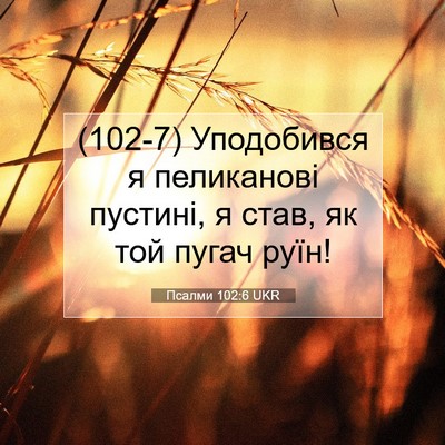 Picture 07 - Псалми 102:6 UKR - (102-7) Уподобився я - Bible Verse Picture