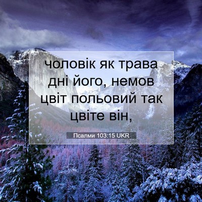 Picture 07 - Псалми 103:15 UKR - чоловік як трава дні його, - Bible Verse Picture