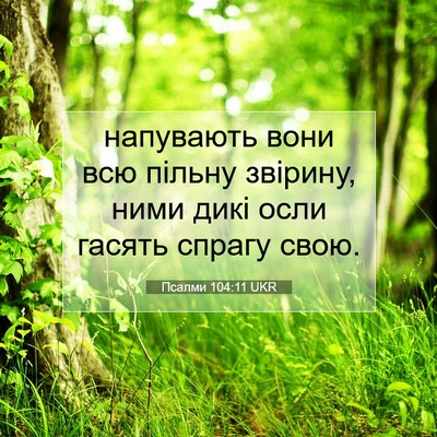 Picture 07 - Псалми 104:11 UKR - напувають вони всю пільну - Bible Verse Picture
