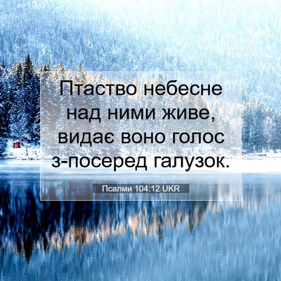 Picture 07 - Псалми 104:12 UKR - Птаство небесне над ними - Bible Verse Picture