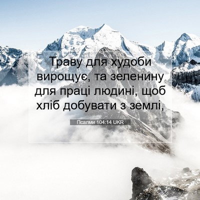 Picture 07 - Псалми 104:14 UKR - Траву для худоби вирощує, - Bible Verse Picture