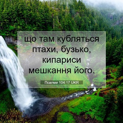 Picture 07 - Псалми 104:17 UKR - що там кубляться птахи, - Bible Verse Picture