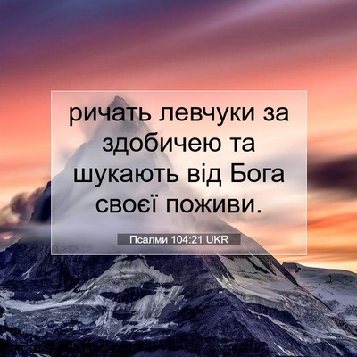 Picture 07 - Псалми 104:21 UKR - ричать левчуки за здобичею - Bible Verse Picture