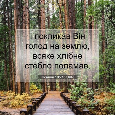 Picture 07 - Псалми 105:16 UKR - і покликав Він голод на - Bible Verse Picture