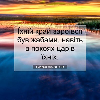 Picture 07 - Псалми 105:30 UKR - Їхній край зароївся був - Bible Verse Picture